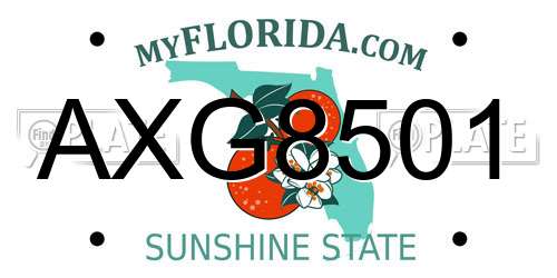 AXG8501 Florida License Plate