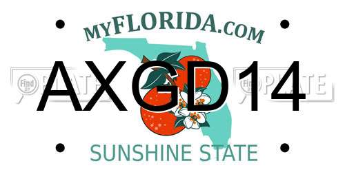 AXGD14 Florida License Plate