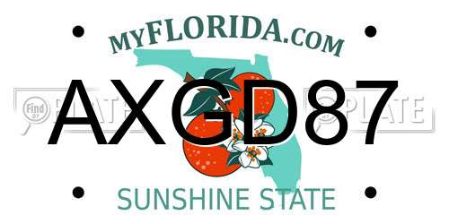 AXGD87 Florida License Plate