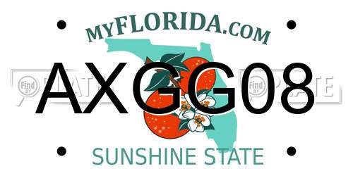AXGG08 Florida License Plate