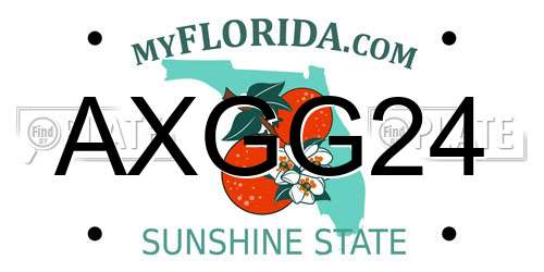AXGG24 Florida License Plate