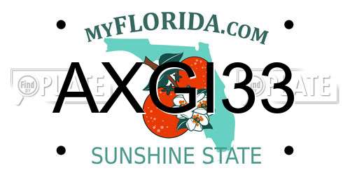 AXGI33 Florida License Plate