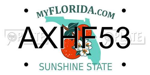 AXHF53 Florida License Plate