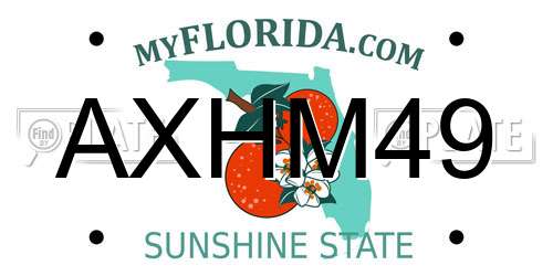 AXHM49 Florida License Plate