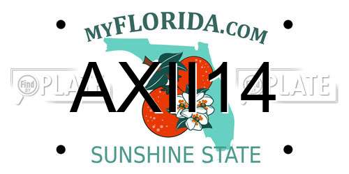 AXII14 Florida License Plate