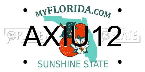 AXIU12 Florida License Plate