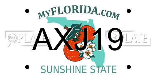 AXJ19 Florida License Plate