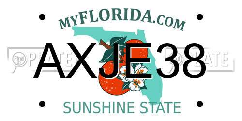 AXJE38 Florida License Plate