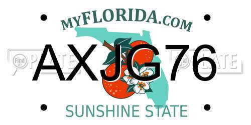 AXJG76 Florida License Plate