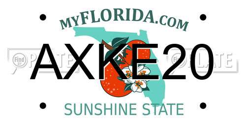 AXKE20 Florida License Plate
