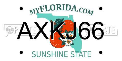 AXKJ66 Florida License Plate