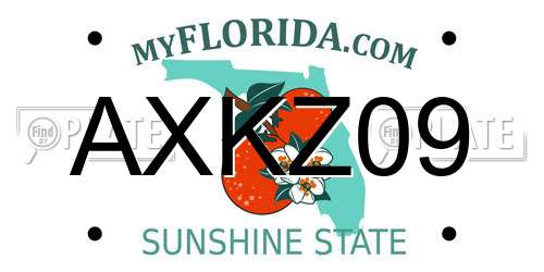 AXKZ09 Florida License Plate