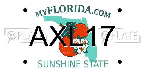 AXL17 Florida License Plate