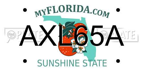 AXL65A Florida License Plate