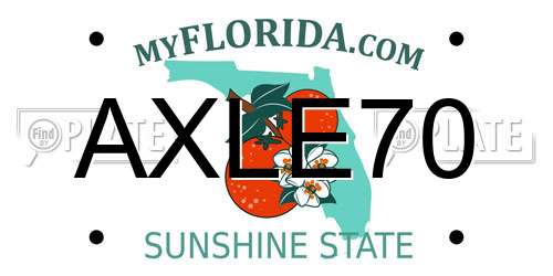 AXLE70 Florida License Plate