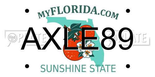 AXLE89 Florida License Plate