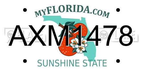 AXM1478 Florida License Plate