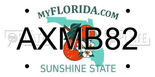 AXMB82 Florida License Plate