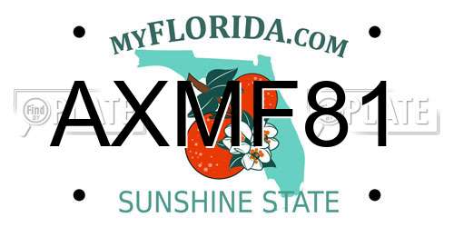 AXMF81 Florida License Plate
