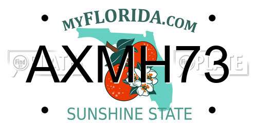 AXMH73 Florida License Plate