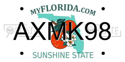 AXMK98 Florida License Plate