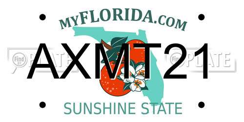 AXMT21 Florida License Plate