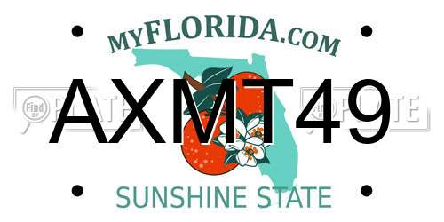 AXMT49 Florida License Plate