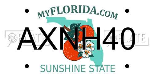 AXNH40 Florida License Plate