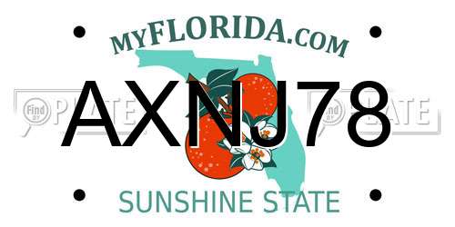 AXNJ78 Florida License Plate
