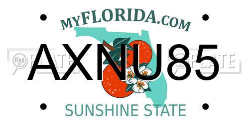 AXNU85 Florida License Plate
