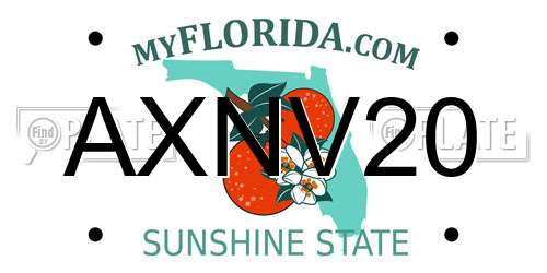 AXNV20 Florida License Plate
