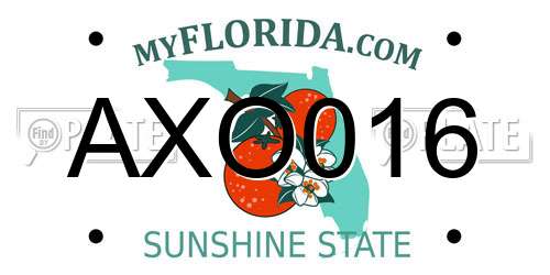AXO016 Florida License Plate