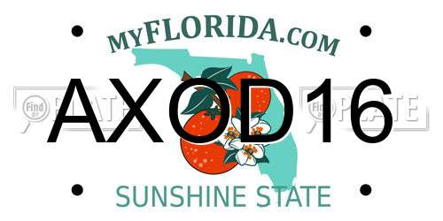 AXOD16 Florida License Plate