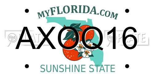 AXOQ16 Florida License Plate