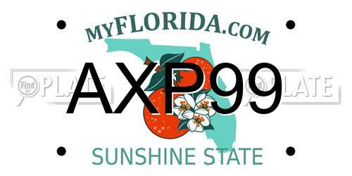AXP99 Florida License Plate