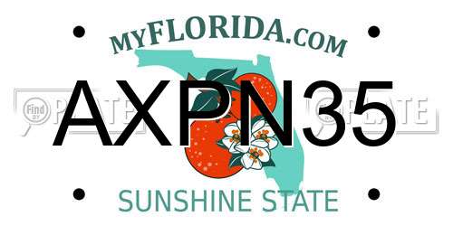 AXPN35 Florida License Plate