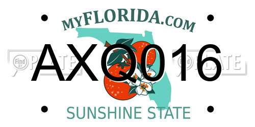 AXQ016 Florida License Plate