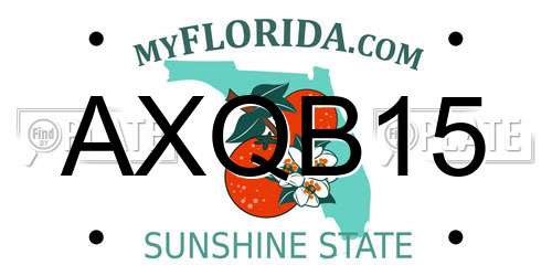 AXQB15 Florida License Plate