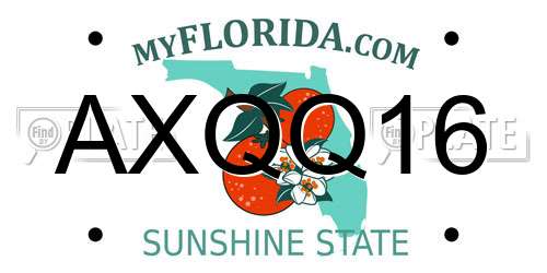 AXQQ16 Florida License Plate