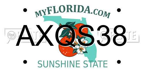 AXQS38 Florida License Plate