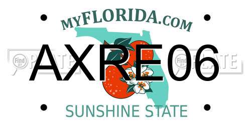 AXRE06 Florida License Plate