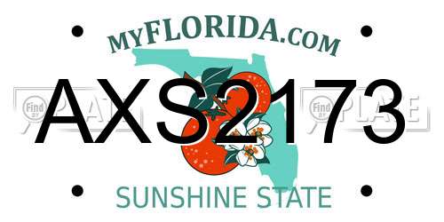 AXS2173 Florida License Plate