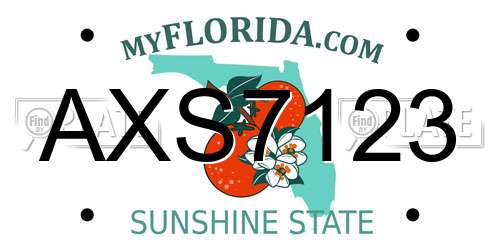 AXS7123 Florida License Plate