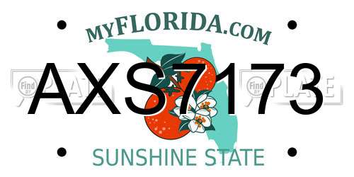 AXS7173 Florida License Plate