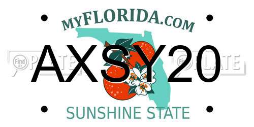 AXSY20 Florida License Plate