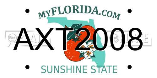 AXT2008 Florida License Plate