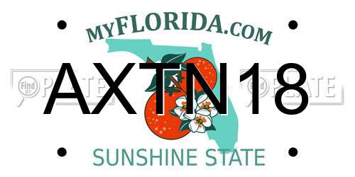 AXTN18 Florida License Plate