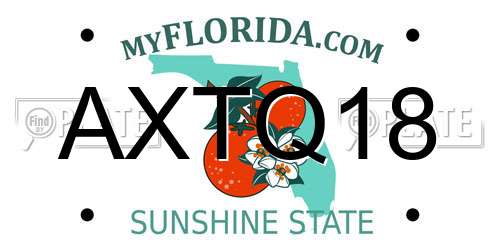 AXTQ18 Florida License Plate