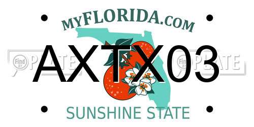 AXTX03 Florida License Plate