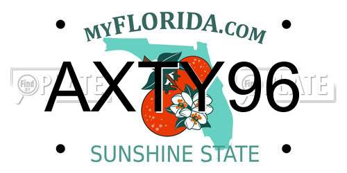 AXTY96 Florida License Plate